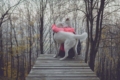 person hugging dog