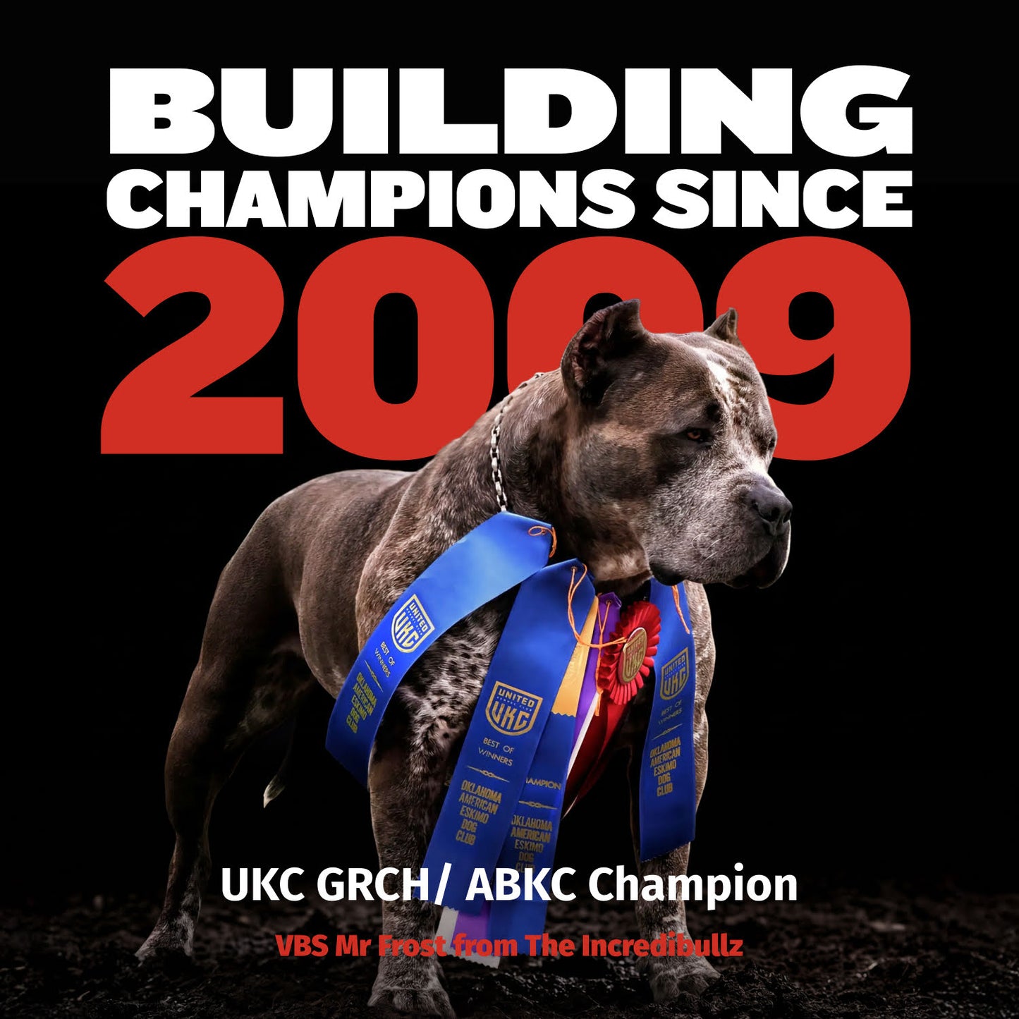 Bully Max 30/20 High Protein Beef Dog Food