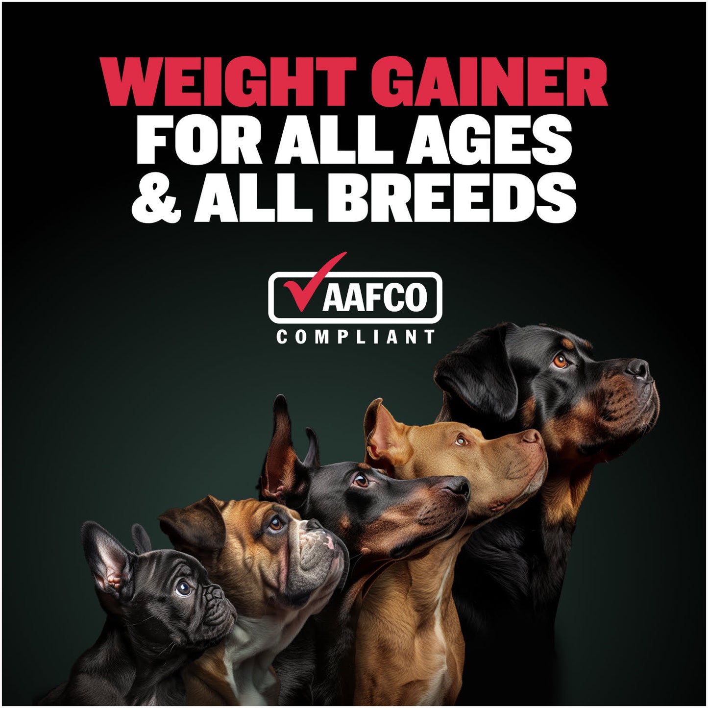 Bully Max Power Chews for Weight Gain