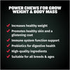 Bully Max Power Chews for Weight Gain