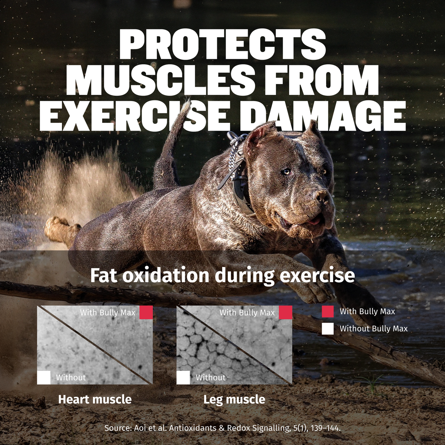 Bully Max Liquid Muscle Gain Supplement