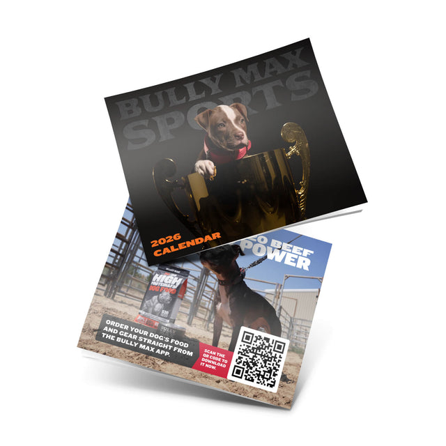 2026 Limited Edition Calendar