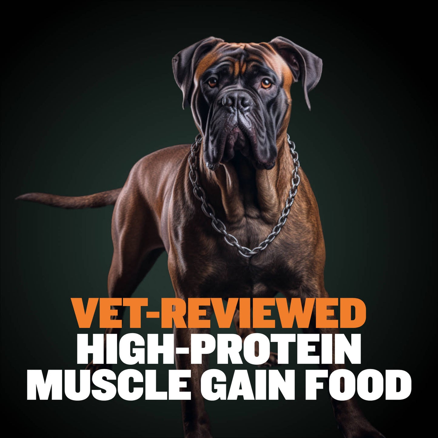 Bully Max 26/12 High Protein Wet Dog Food 10 Count Multipack