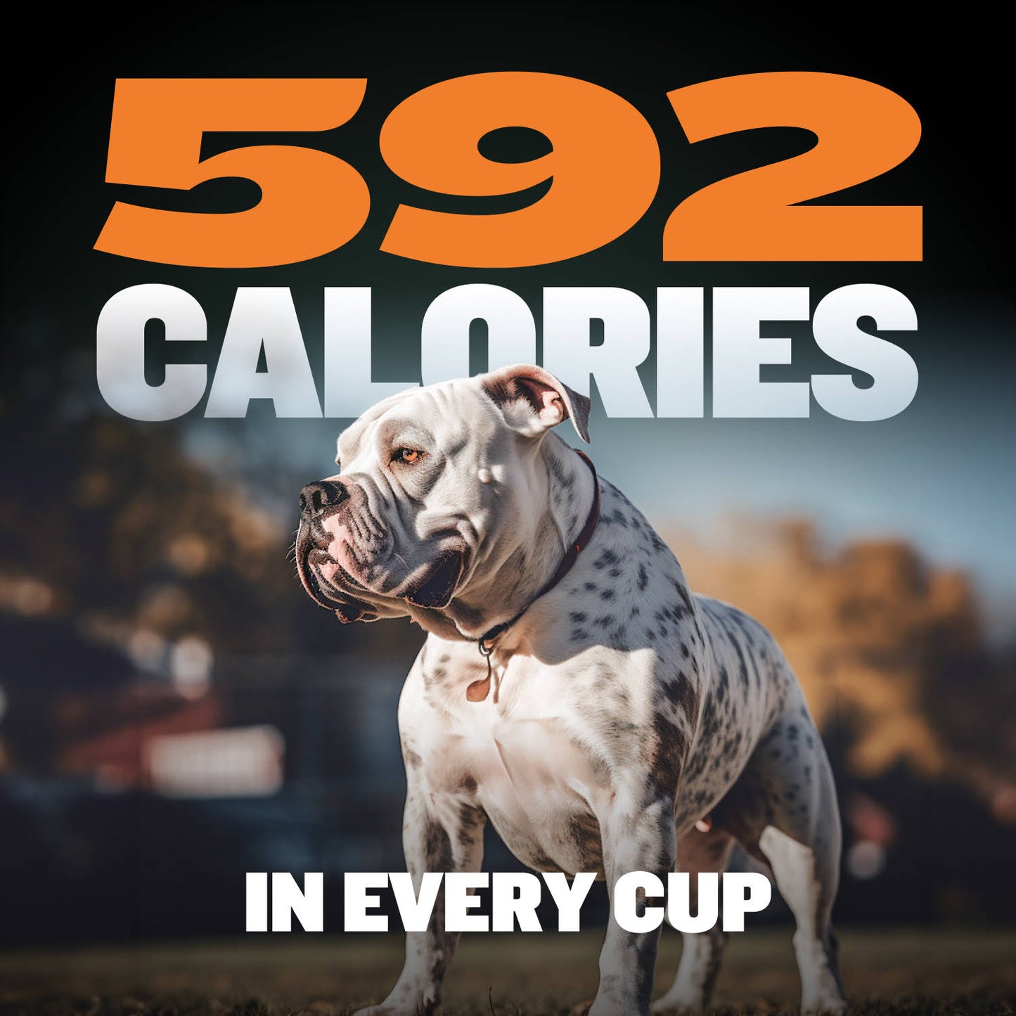Bully Max 26/12 High Protein Wet Dog Food 10 Count Multipack