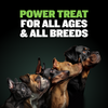 High Protein Power Chew