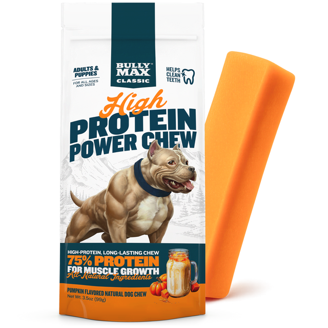 High Protein Power Chew - Pumpkin (Limited)