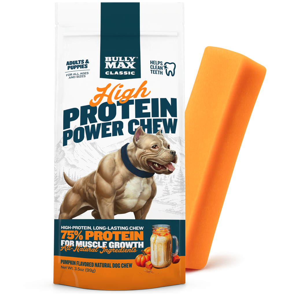 High Protein Power Chew - Pumpkin (Limited)