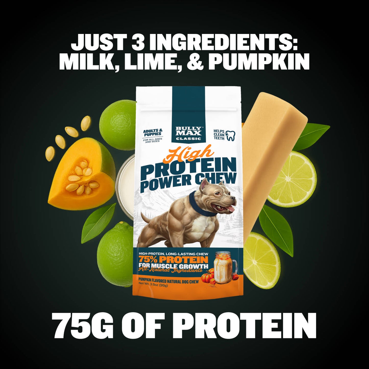High Protein Power Chew - Pumpkin (Limited)