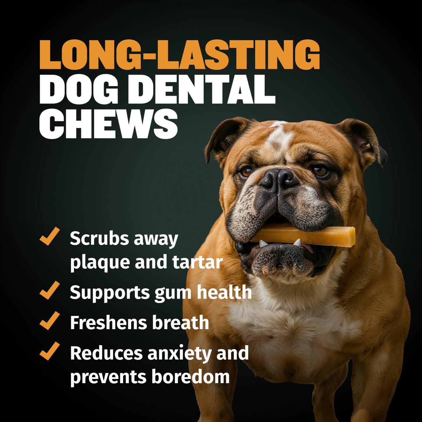 High Protein Power Chew - Pumpkin (Limited)