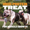 High Protein Power Chew - Pumpkin (Limited)