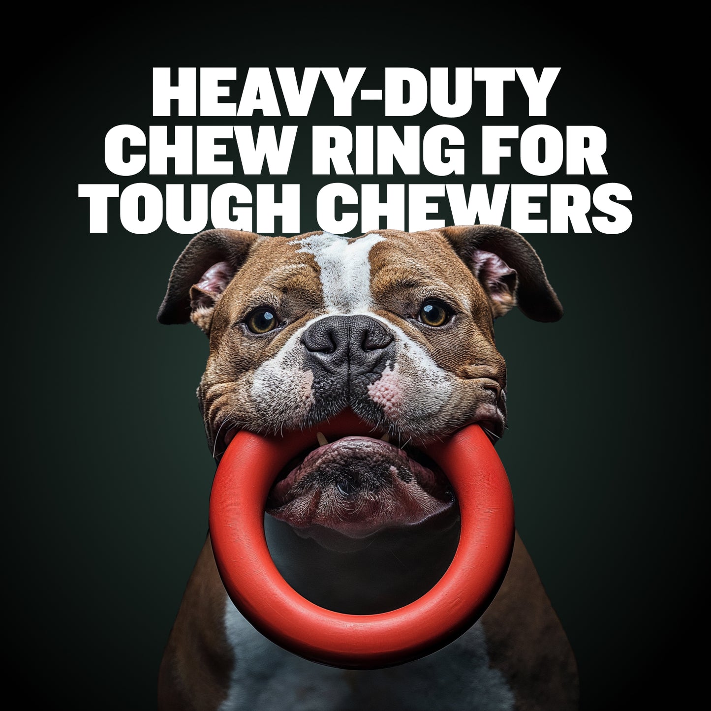 Heavy Duty Tough Chew Ring Toys