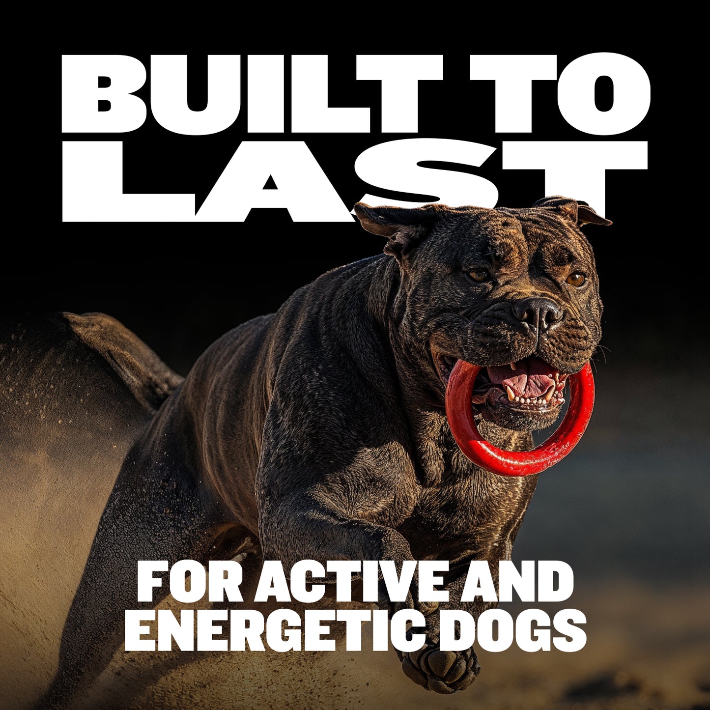 Heavy Duty Tough Chew Ring Toys