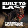 Heavy Duty Tough Chew Ring Toys