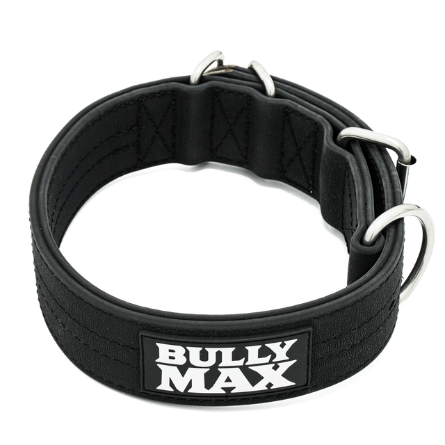 Extra Heavy Duty Dog Collar (Black)
