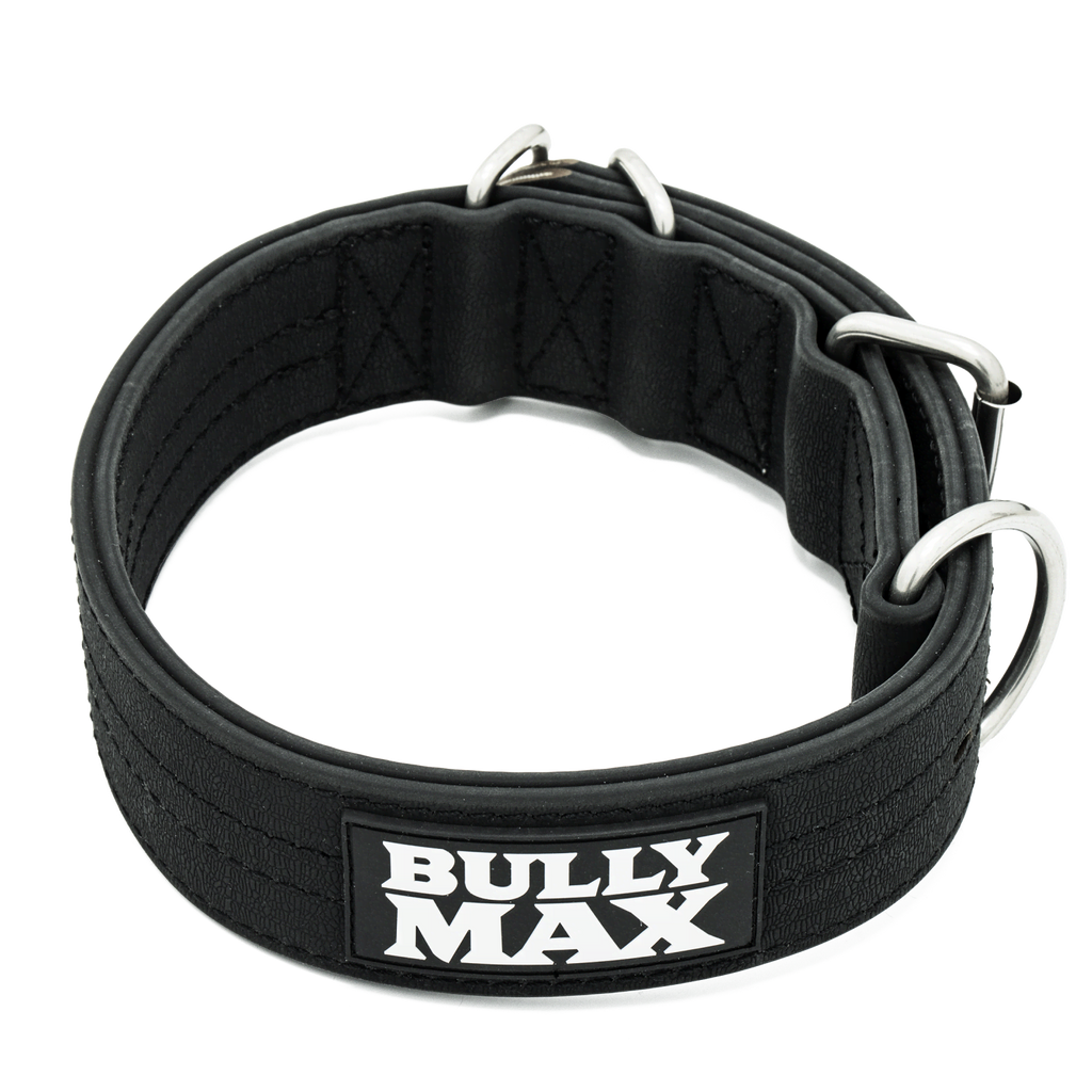 Extra Heavy Duty Dog Collar (Black)