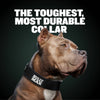 Extra Heavy Duty Dog Collar (Black)