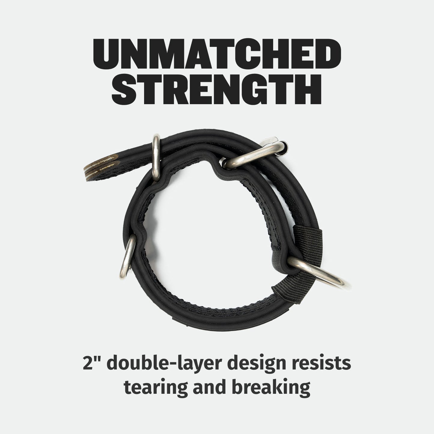 Extra Heavy Duty Dog Collar (Black)