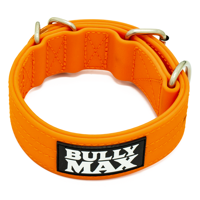 Extra Heavy Duty Dog Collar (Orange)