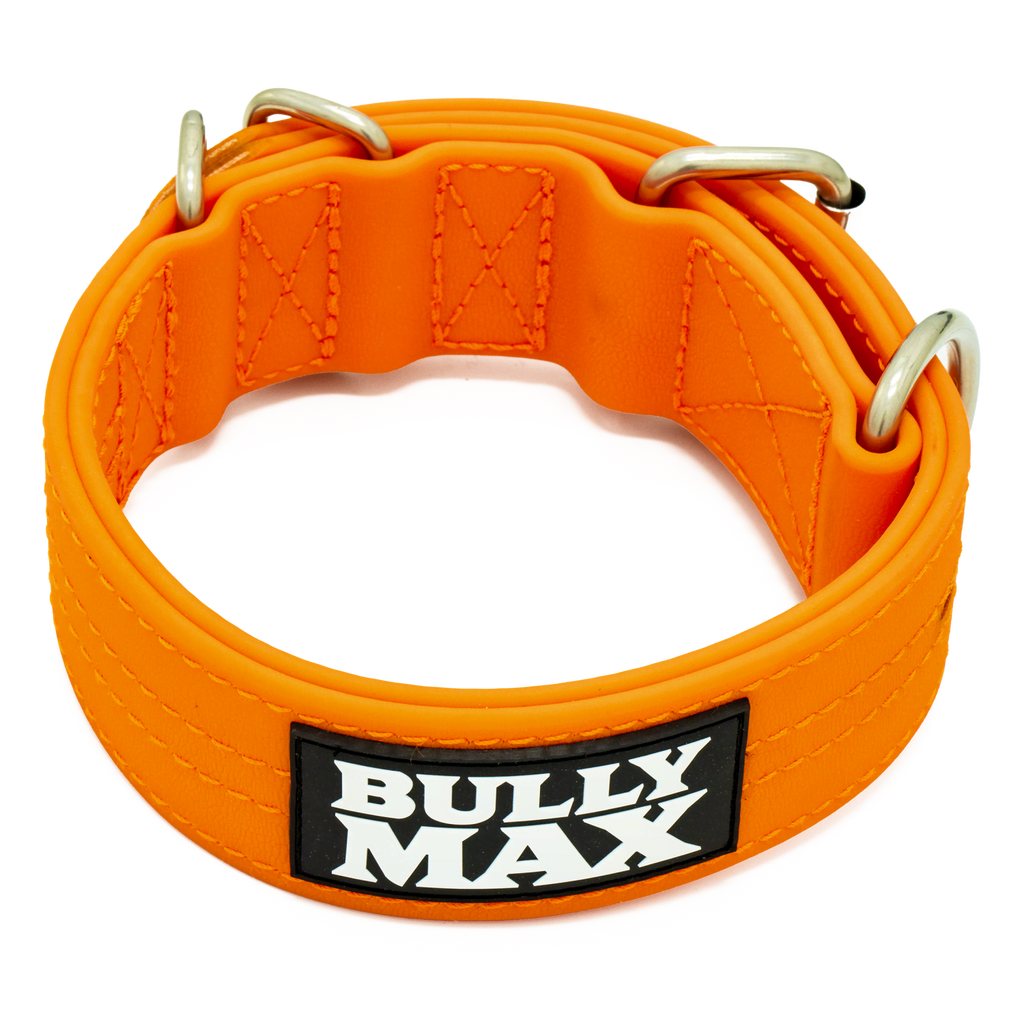 Extra Heavy Duty Dog Collar (Orange)
