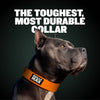 Extra Heavy Duty Dog Collar (Orange)