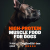Treats, Dry Food, & Wet Food - Bundle - Chicken Flavor