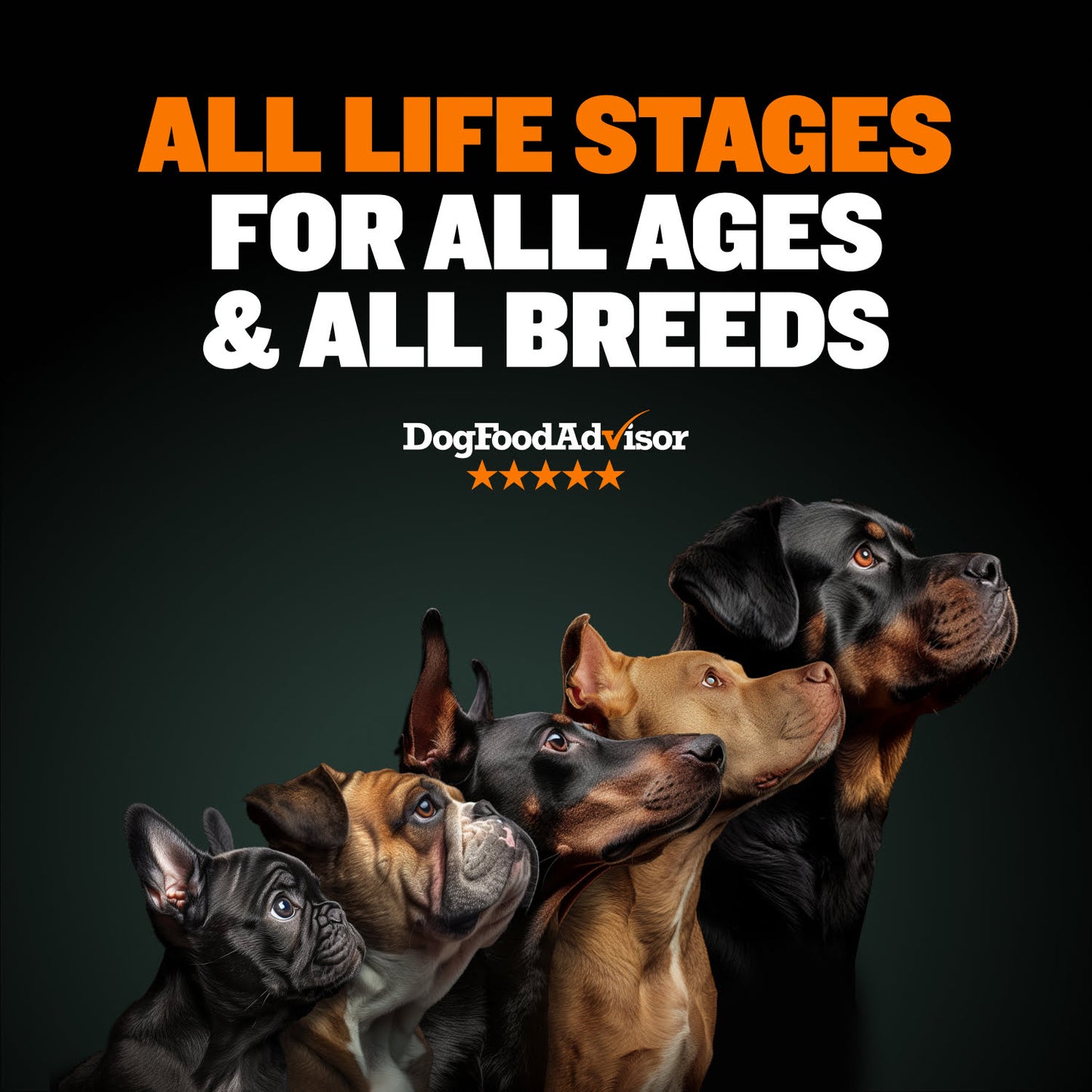 Bully Max 30/20 High Protein Chicken Dog Food