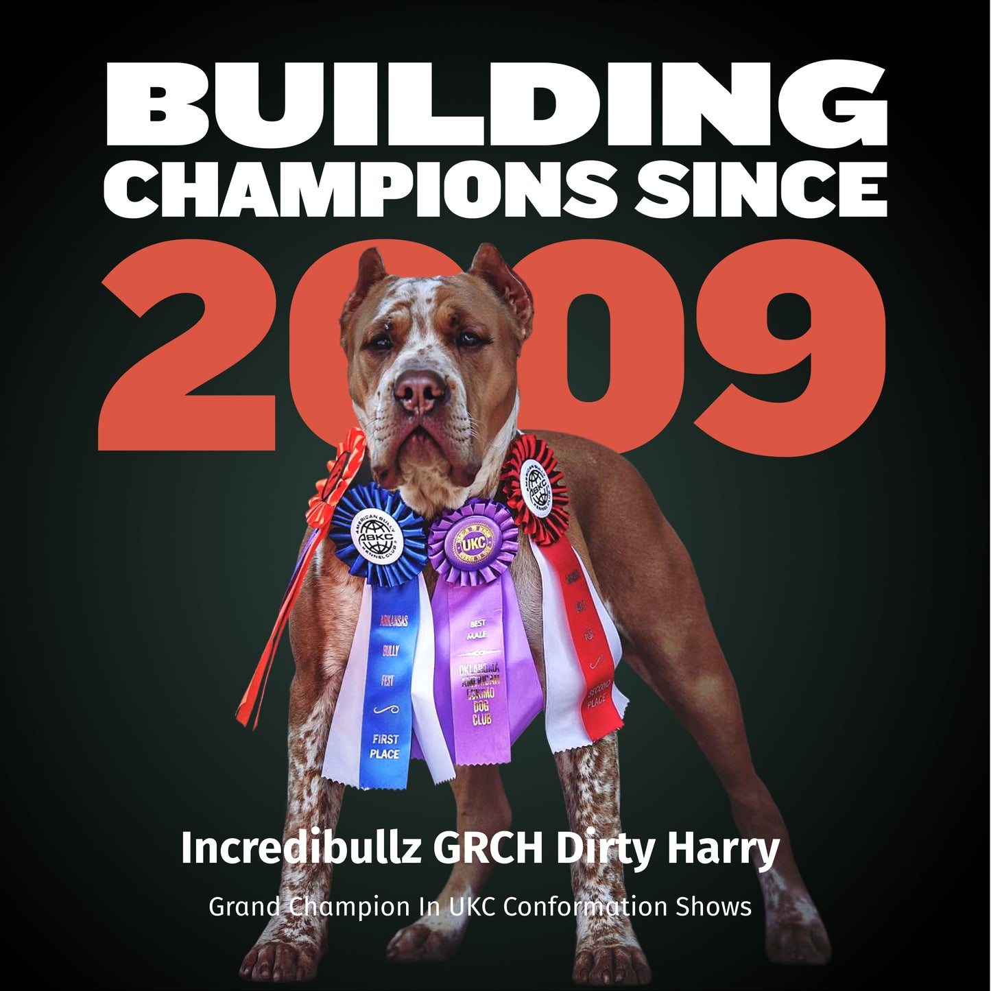 Bully Max 30/20 High Protein Beef Dog Food