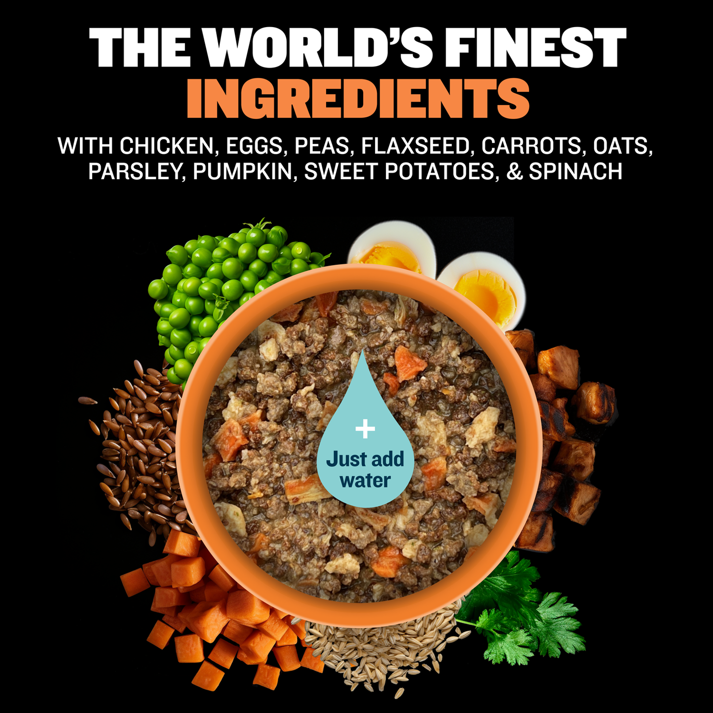 Treats, Dry Food, & Wet Food - Bundle - Chicken Flavor