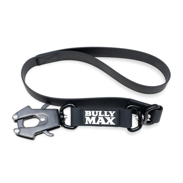 Waterproof Short Dog Leash (Black)