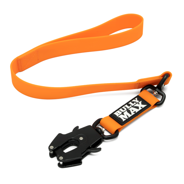 Waterproof Short Dog Leash (Orange)