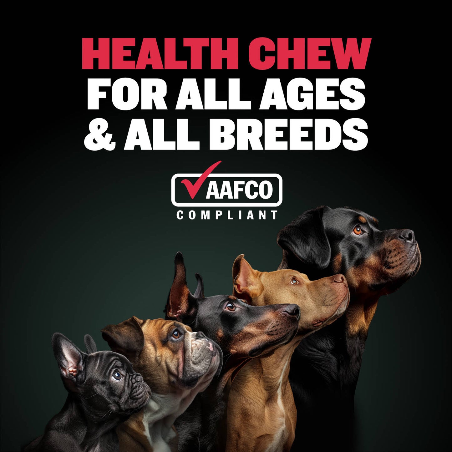 Bully Max Vitality Chews for Allergies, Joints, & Daily Vitamins