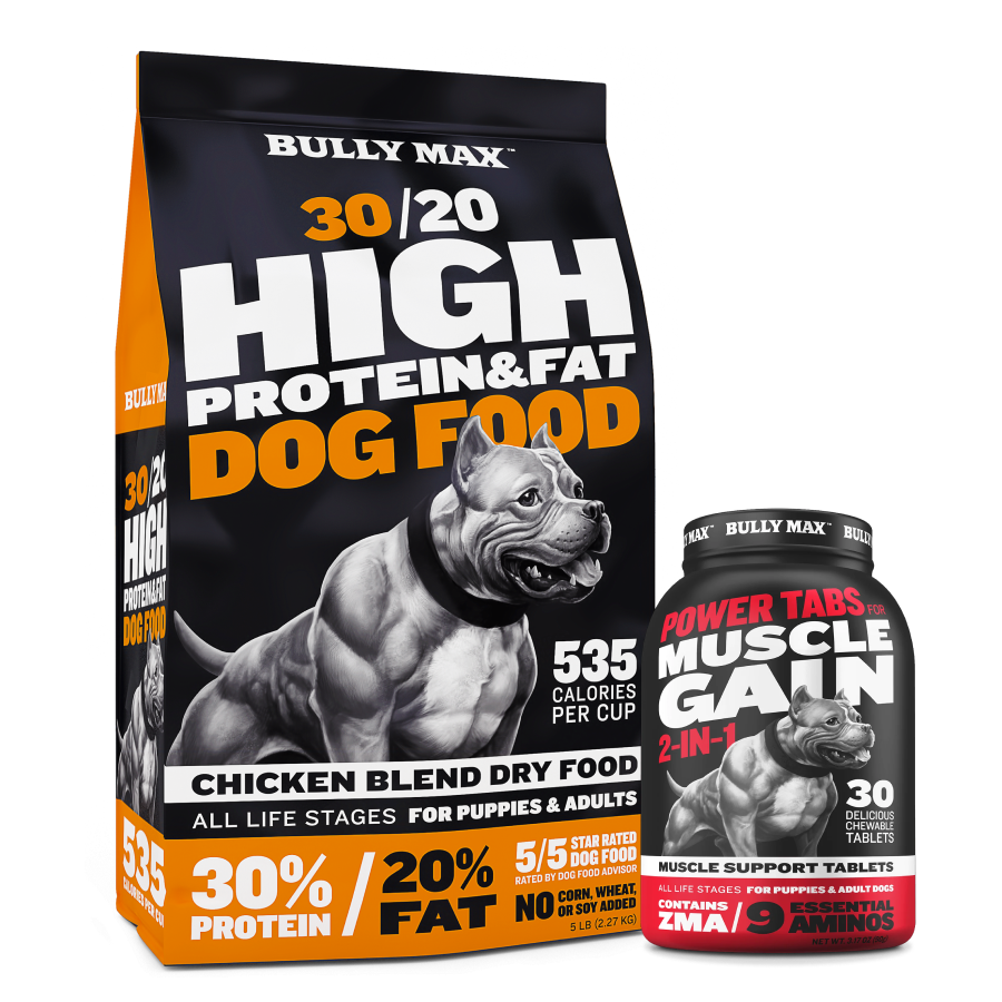 Nutrition Plan for Muscle Gain