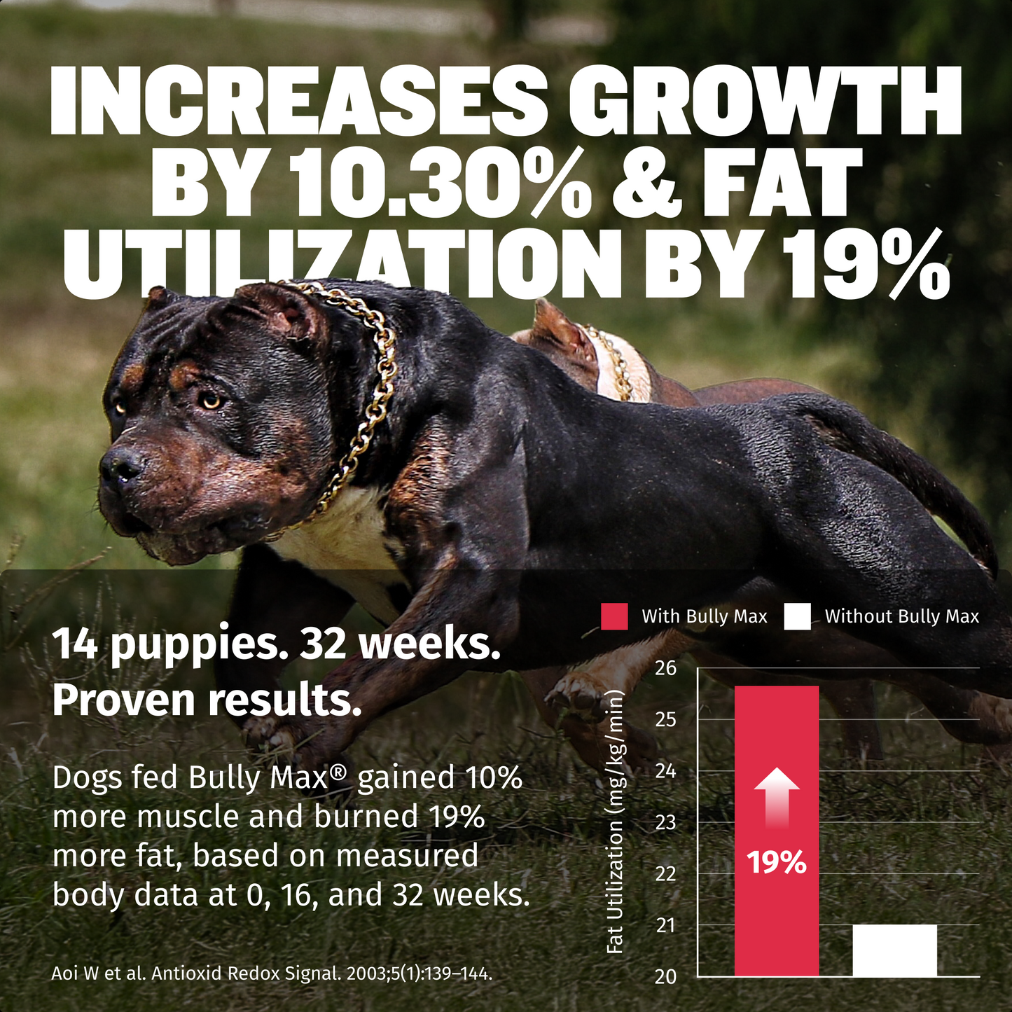 Bully Max Liquid Muscle Gain Supplement