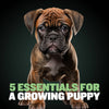 Puppy Starter Pack for Training & Growth