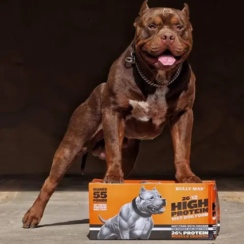Bison Mix Bundle - 32 lb - Dog's Get Variety with This Bundle