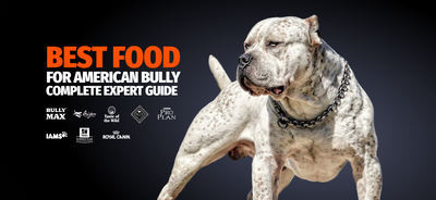 Best Dog Food for American Bullies (2025): Complete Expert Guide