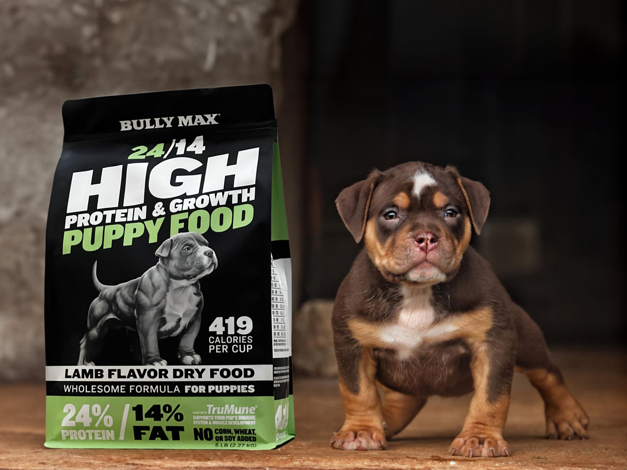 Vivid Bully Max Dog Food Background Photography Vivid Bully Max Dog Food Background Photography