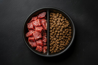 Meat-Based Dog Food preview photo