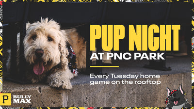 Pittsburgh Pirates and Bully Max Join Forces to Bring Pup Nights to PNC Park