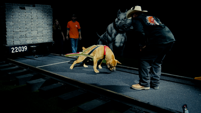 How This Elite Breeder Raises Record-Shattering Dogs