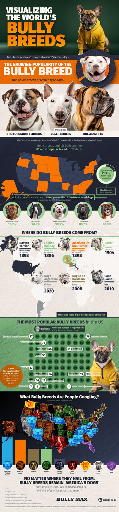 Infographic Post: The Most Popular Bully Breeds in the United States