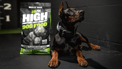 Best dog food for allergies: Doberman lying beside a bag of Bully Max 25/11 chicken-free lamb dog food