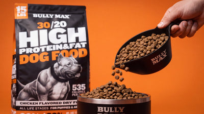 Best dog food for Rottweilers: Bully Max 30/20 High Protein & Fat dog food bag on an orange background with kibble poured from a scoop into a Bully Max bowl