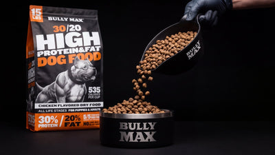 Bully Max 30/20 High Protein & Fat dog food bag with kibble pouring from a scoop into a Bully Max bowl