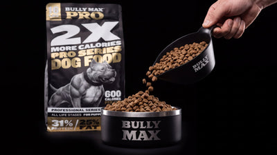 Dog food for American Bulldogs: Bully Max Pro Series 31/25 dog food bag with kibble in a Bully Max bowl