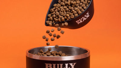 Best wet dog food: Bully Max food poured from a measuring scoop into a Bully Max bowl on an orange background
