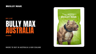 Bully Max Australia title card with the Original Bully Max supplement pouch