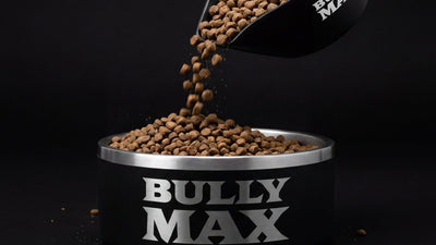 Scoop pouring Bully Max dry dog food into a Bully Max bowl