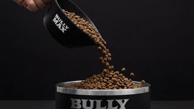 Bully Max kibble being poured from a scoop into a Bully Max bowl