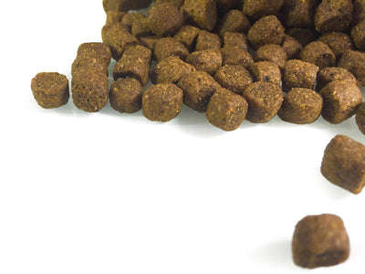 How to Choose Dog Food